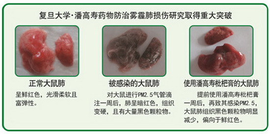 微信圖片_20181116114451.jpg 微信圖片_20181116114451.jpg